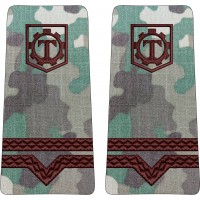 GRADE MAISTRU MILITAR CLASA 4 COMBAT TERESTRU - SEMN ARMA " CONSTRUCTII " GRADE MAISTRU MILITAR CLASA 4 COMBAT TERESTRU - SEMN ARMA " CONSTRUCTII "