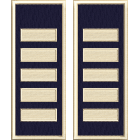 GRADE AGENT SEF PRINCIPAL POLITIA DE FRONTIERA IGPFR ( TINUTA NOUA ) CULOARE " BLUE NAVY INCHIS "