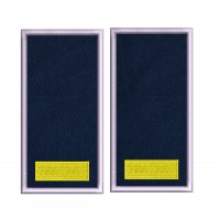 GRADE AGENT POLITIA DE FRONTIERA IGPFR GRADE AGENT POLITIA DE FRONTIERA IGPFR