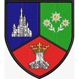 EMBLEMA BRASOV EMBLEMA BRASOV