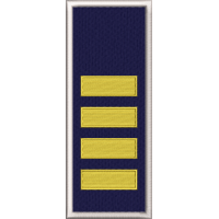 GRADE AGENT SEF POLITIA DE FRONTIERA / PATCH CU SCAI