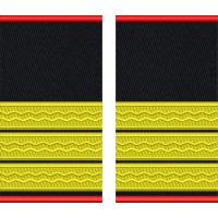 Grade Sef compartiment prevenire, Sef formatie interventie SVSU (SPSU)