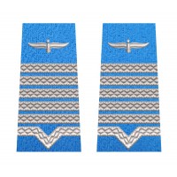 GRADE MAISTRU MILITAR PRINCIPAL FORTE AERIENE