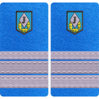 GRADE PLUTONIER MAJOR JANDARMI MODEL-2 " COMANDA SPECIALA "