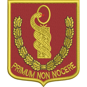 EMBLEMA SERVICIUL MEDICAL MILITAR DE URGENTA / 2