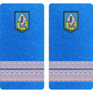 GRADE SERGENT MAJOR JANDARMI - MODEL 2 " COMANDA SPECIALA "