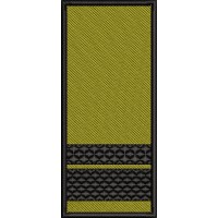 GRADE SERGENT MAJOR / PATCH CU SCAI