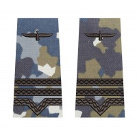GRADE MAISTRU MILITAR CLASA 3 COMBAT AVIATIE