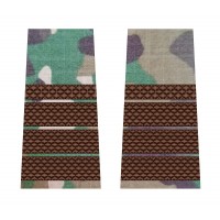 GRADE PLUTONIER ADJUTANT PRINCIPAL COMBAT FORTE TERESTRE