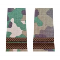 GRADE SERGENT MAJOR COMBAT FORTE TERESTRE