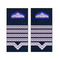 GRADE MAISTRU MILITAR CLASA 1 SRI