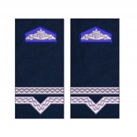 GRADE MAISTRU MILITAR CLASA 4 SRI