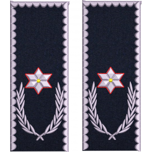 GRADE CHESTOR POLITIE IGPR