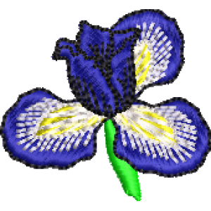 BRODERIE - FLOARE DE IRIS ( ALBASTRU ) pentru aplicat pe sticla evenimente