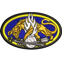 EMBLEMA INSTRUCTOR JANDARMI - de piept / VARIANATA 2