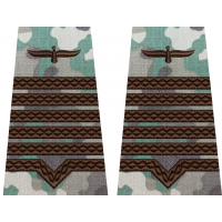 GRADE MAISTRU MILITAR PRINCIPAL COMBAT TERESTRU, SEMN ARMA AVIATIE